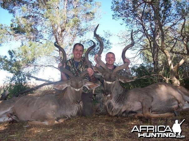 Two Eastern Cape Kudu 1 min apart