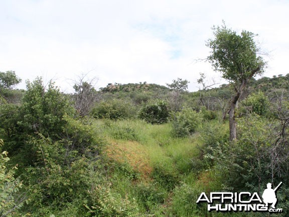 Nambia Landscape