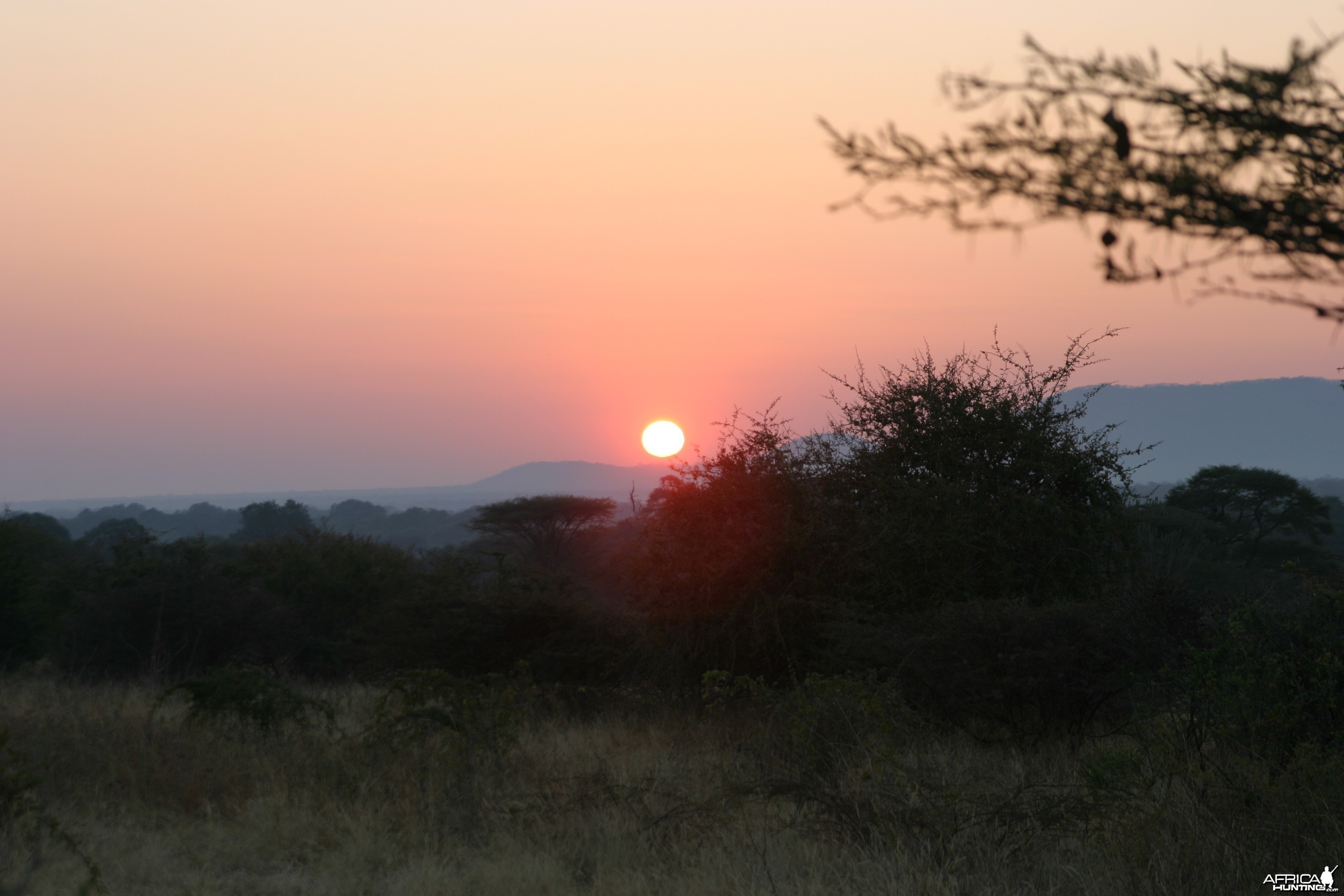 African Sunset