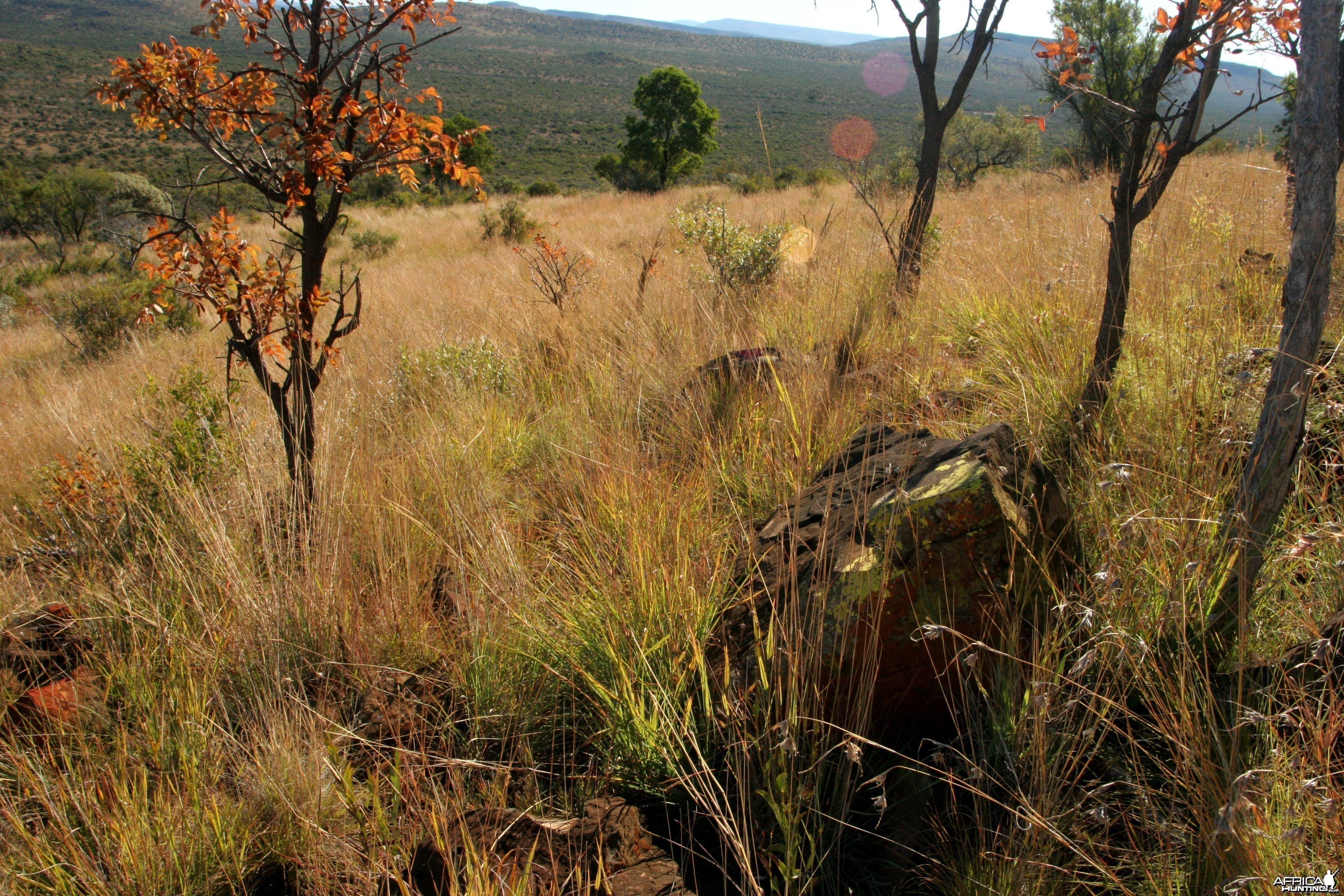 Koedoeberg South Africa