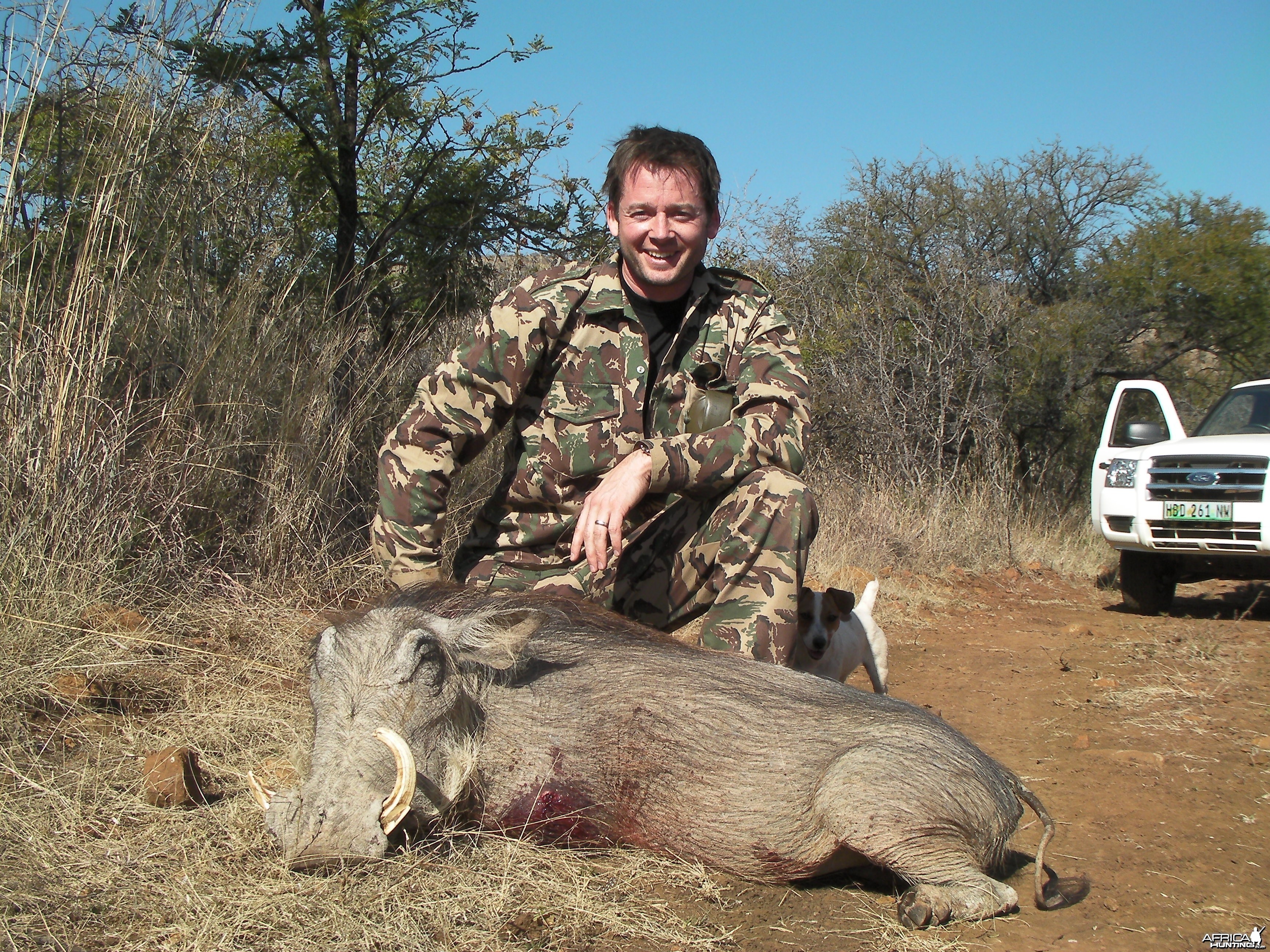 Warthog hunt