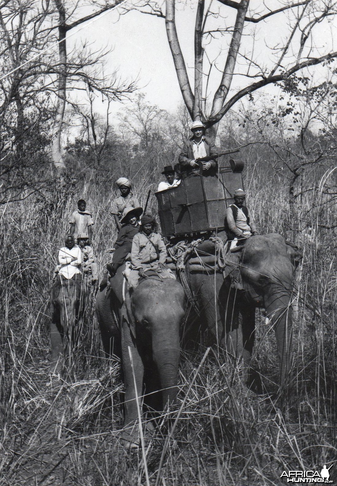 Tiger hunting in the Chitwan jungle in Nepal