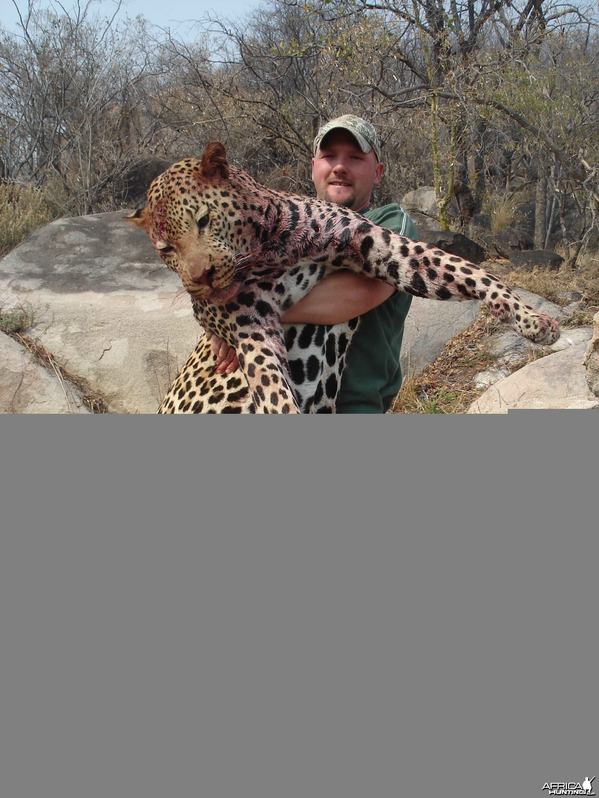 Big leopard shot in Zimbabwe