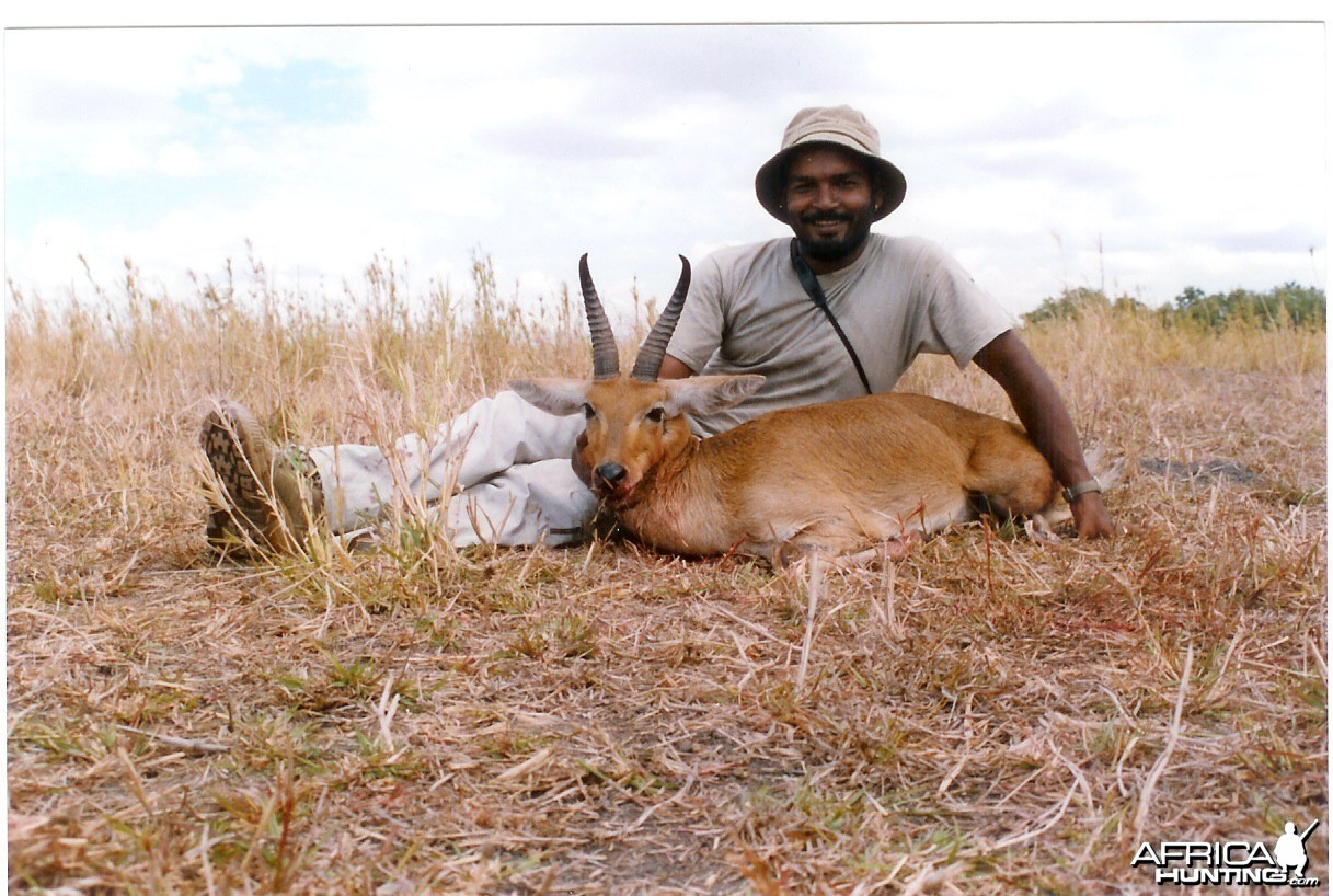 Bohor Reedbuck