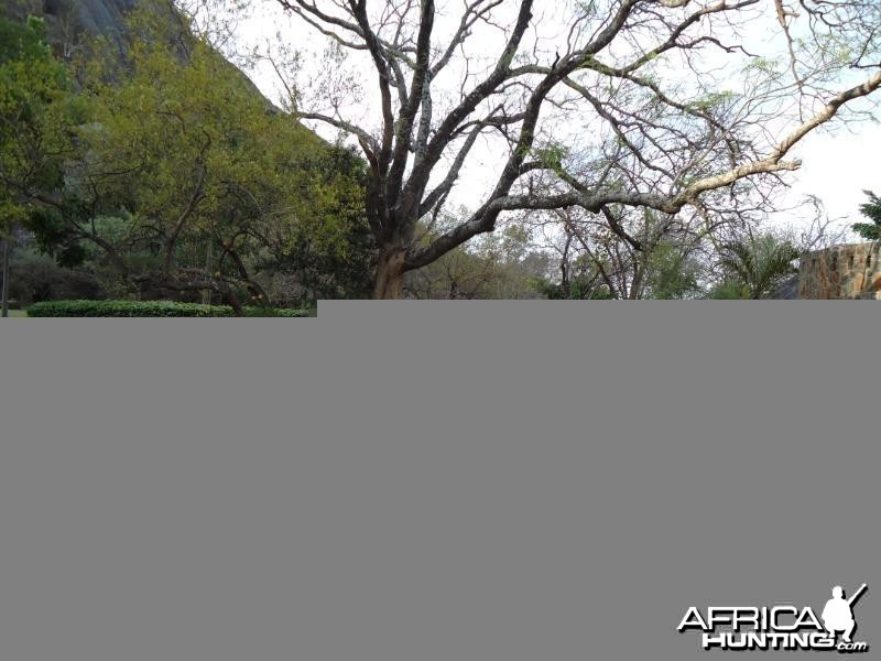 The grounds around the lodge at Touch Africa Safaris