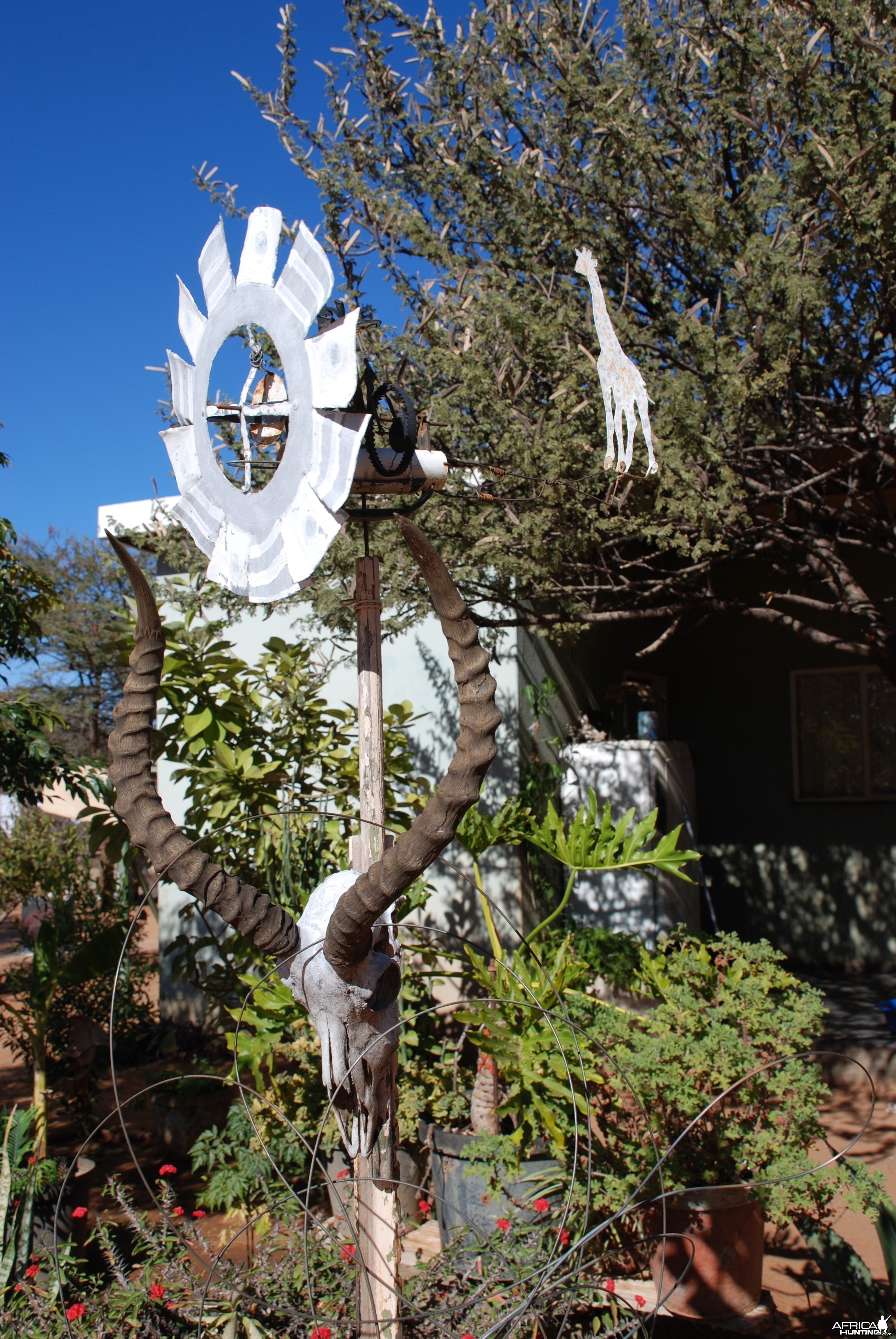 Weathervane, Namibia