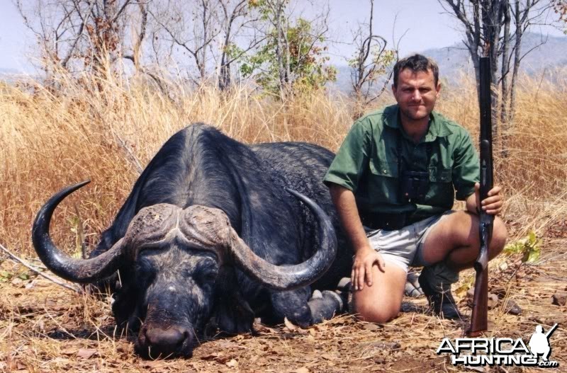 Buffalo hunted in Zimbabwe Zambezi Valley 43 inches my personal biggest