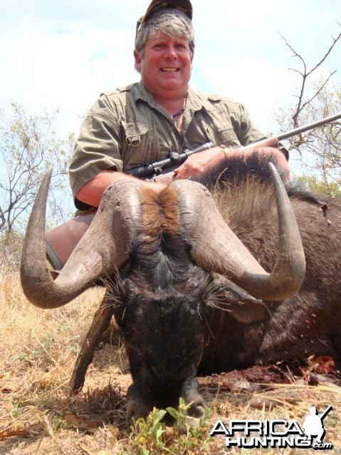 A big, old Black Wildebeest hunted in South Africa