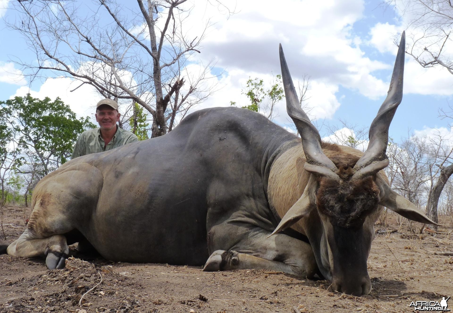 38'' east african Eland hunted in Tanzania