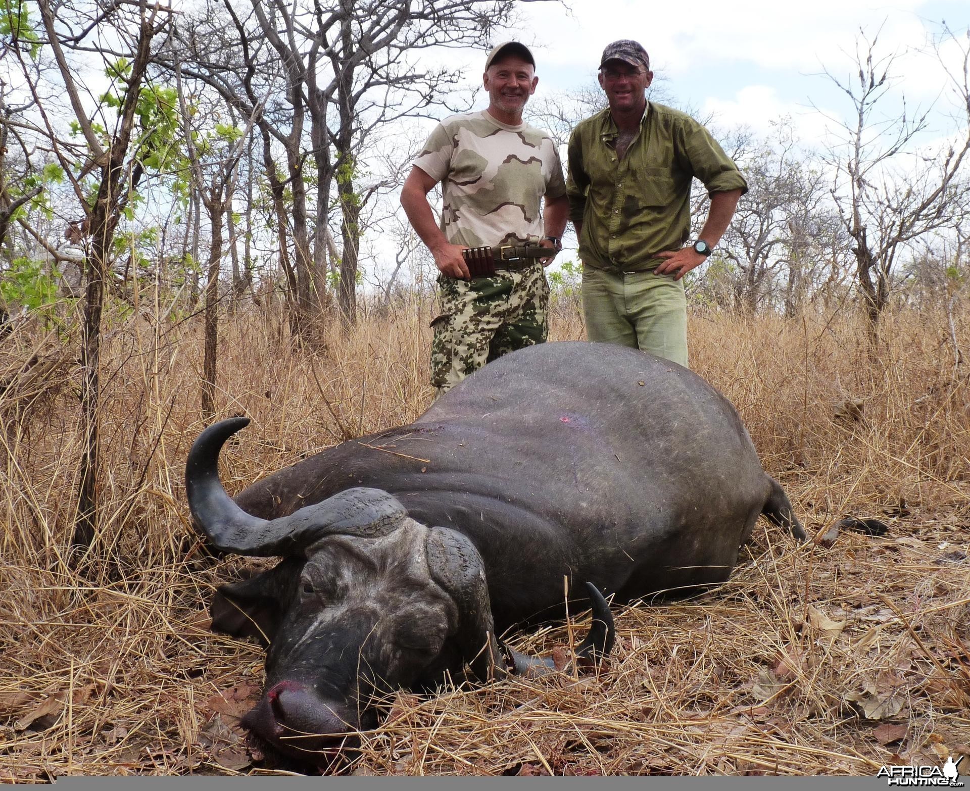 Old bull hunted in Tanzania