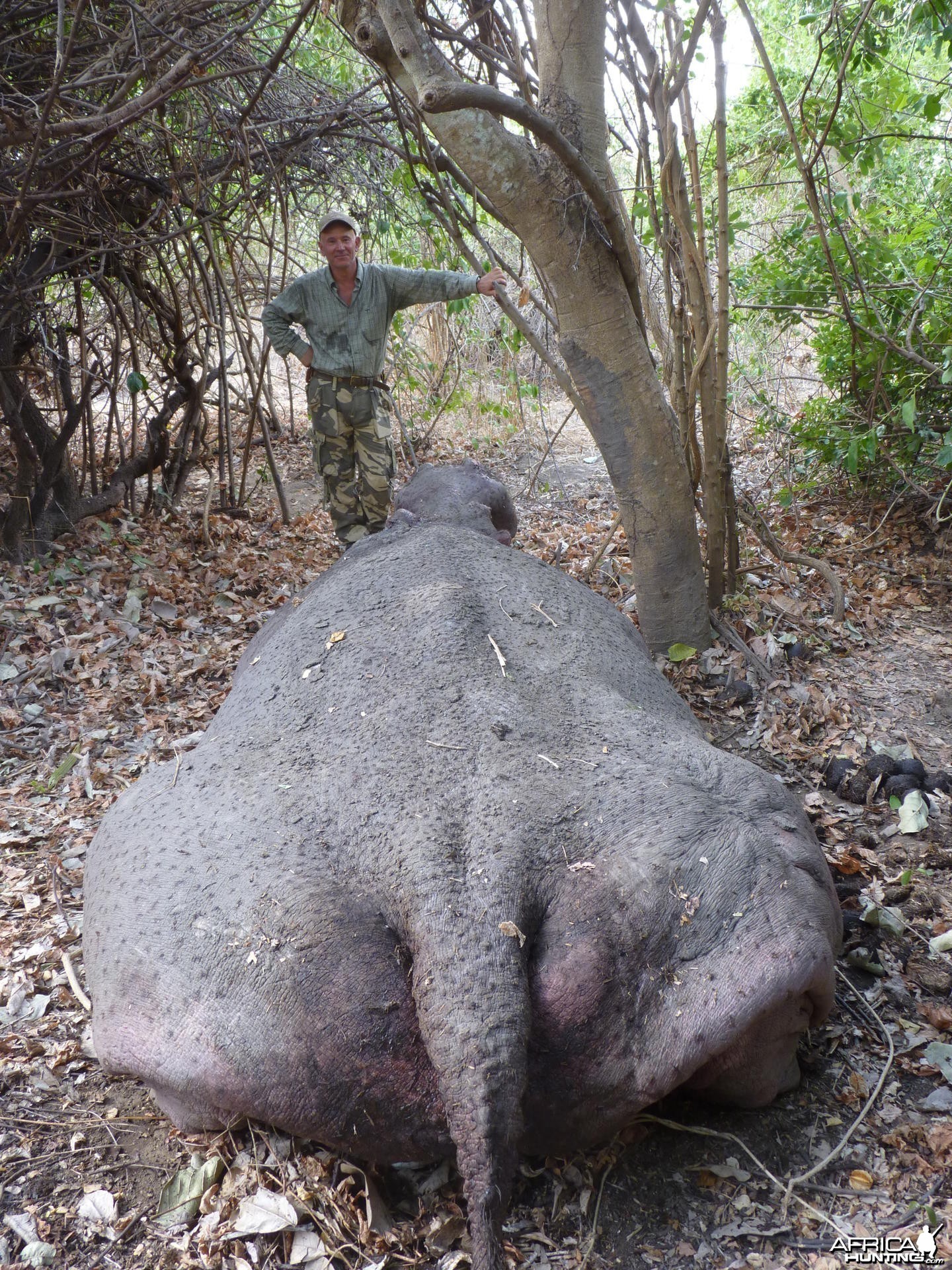 Hunting Hippo in Tanzania