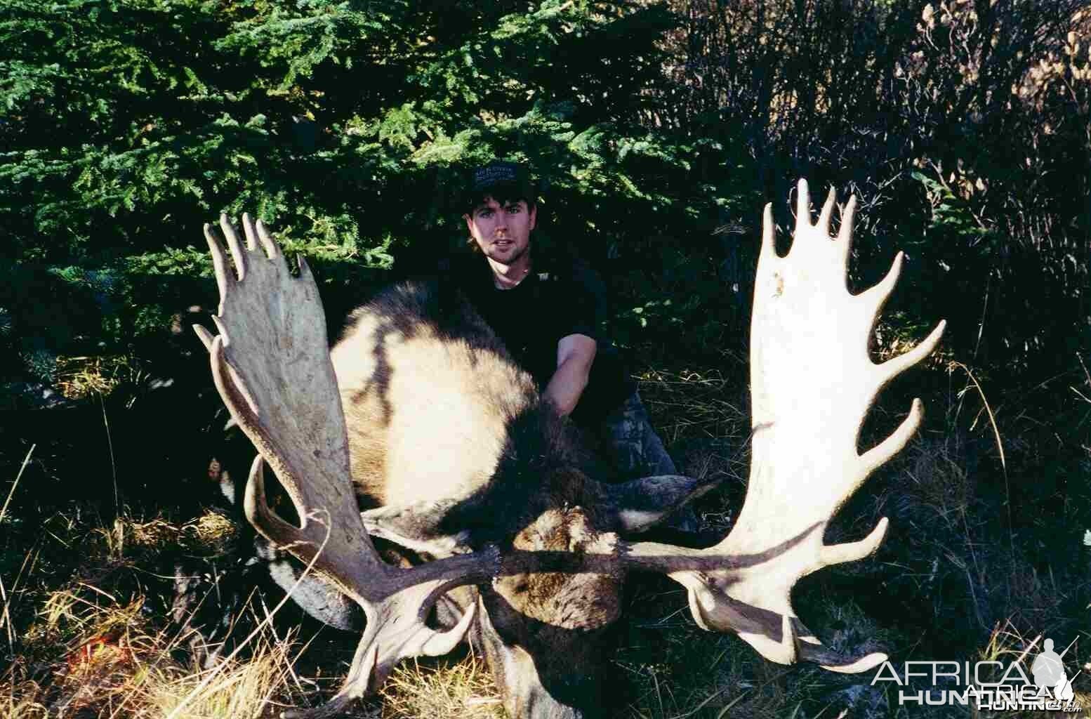 2001 Willmore Moose