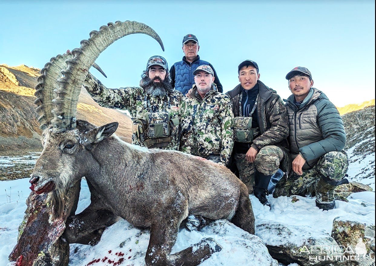 38 Inch Ibex Hunt Kazakhstan