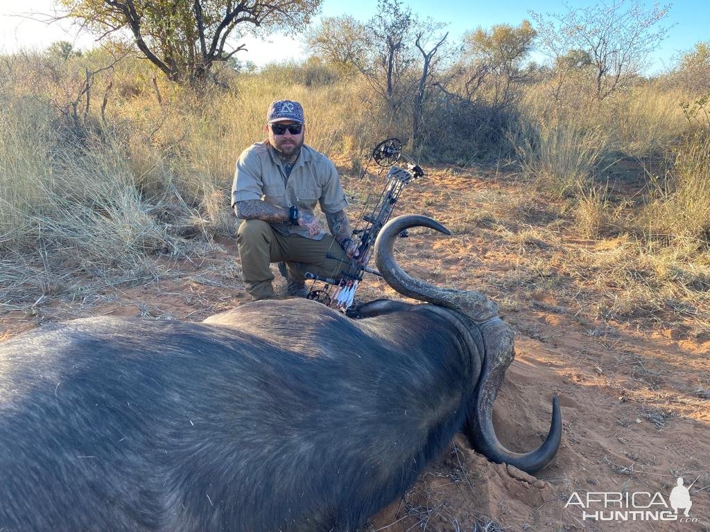 Bow Hunt Cape Buffalo South Africa
