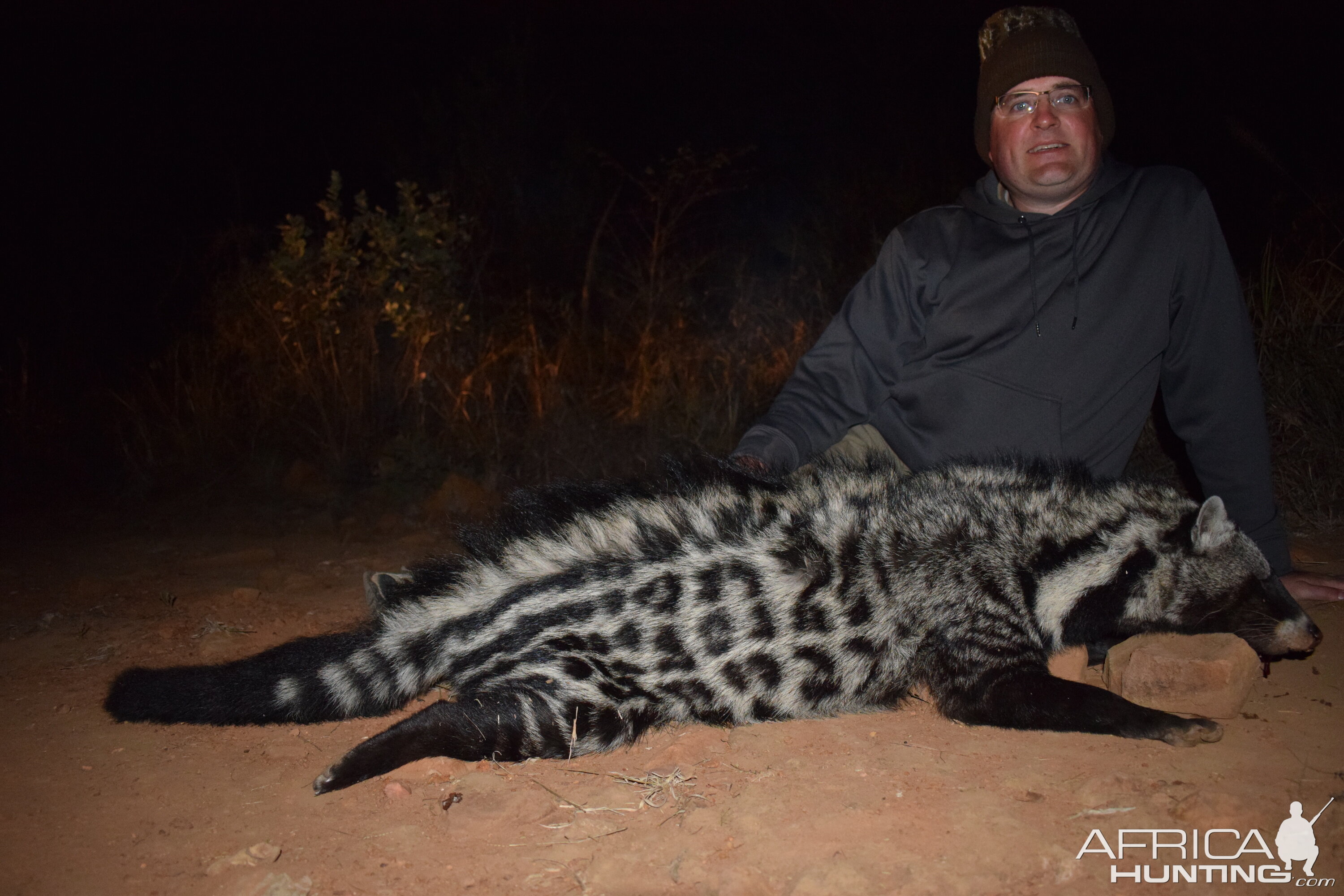 Hunting Civet Cat South Africa