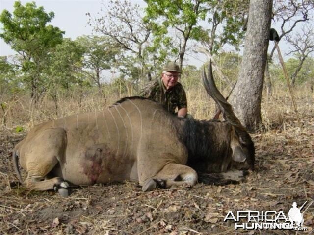 Lord Derby Eland hunted in Cameroon