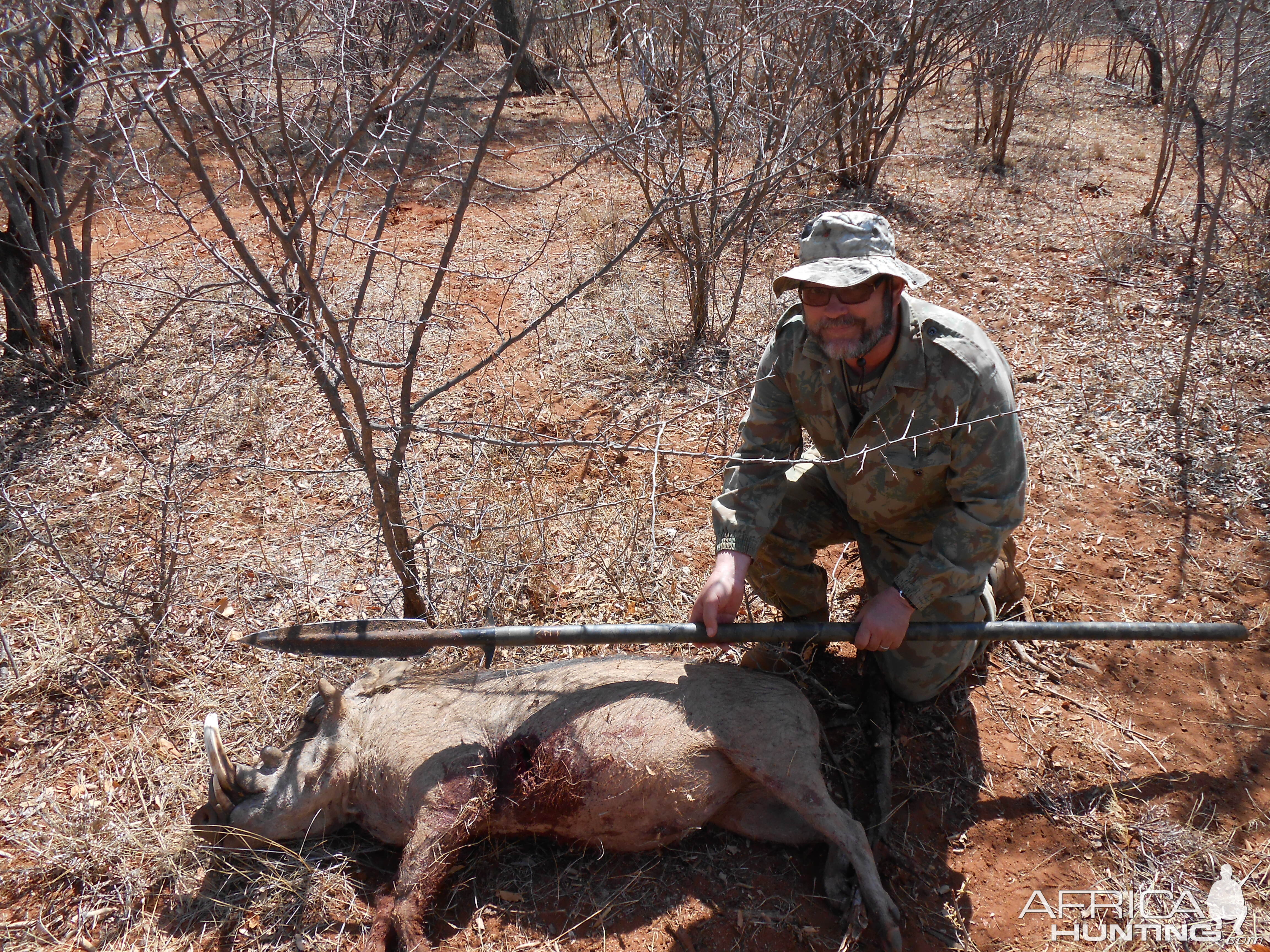 Spear Hunting Warthog South Africa