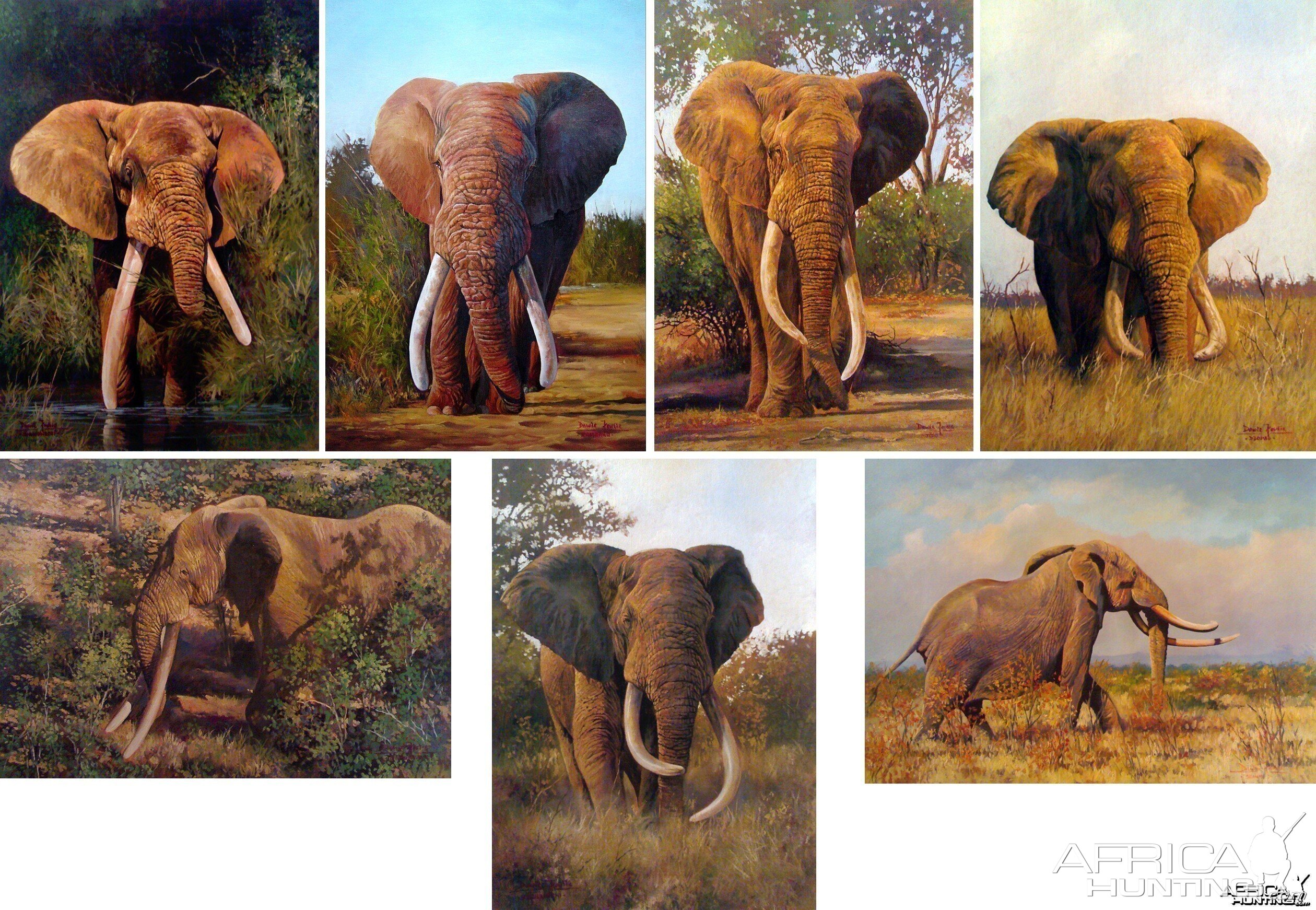 The Magnificent 7 by Dawie Fourie