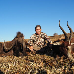Black Wildebeest & Blesbok Hunting South Africa