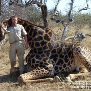 Giraffe bull hunted on my last safari
