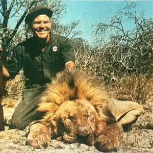 Dennis Blackbeard with another magnificent lion-Botswana