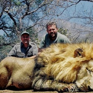 Incredible Lowveld lion-APNR, South Africa