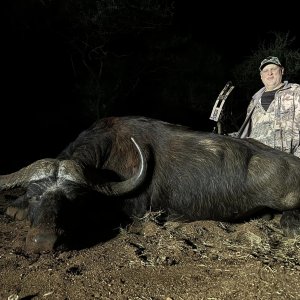 Buffalo Bow Hunt