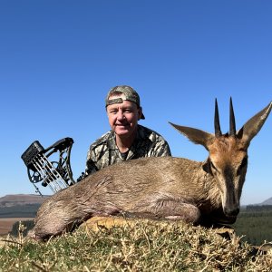 Duiker Bow Hunting South Africa