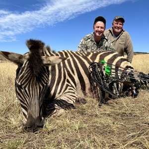 Zebra Bow Hunting South Africa
