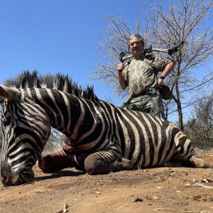 Zebra Bow Hunting South Africa