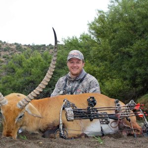 Red Lechwe Bow Hunt South Africa