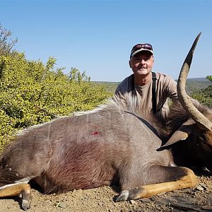 Hunt Nyala South Africa