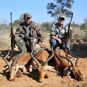 impala in botswana