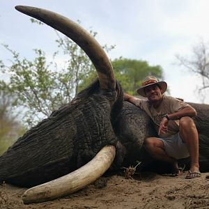 Botswana Hunting Elephant