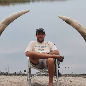 Botswana Hunt Elephant