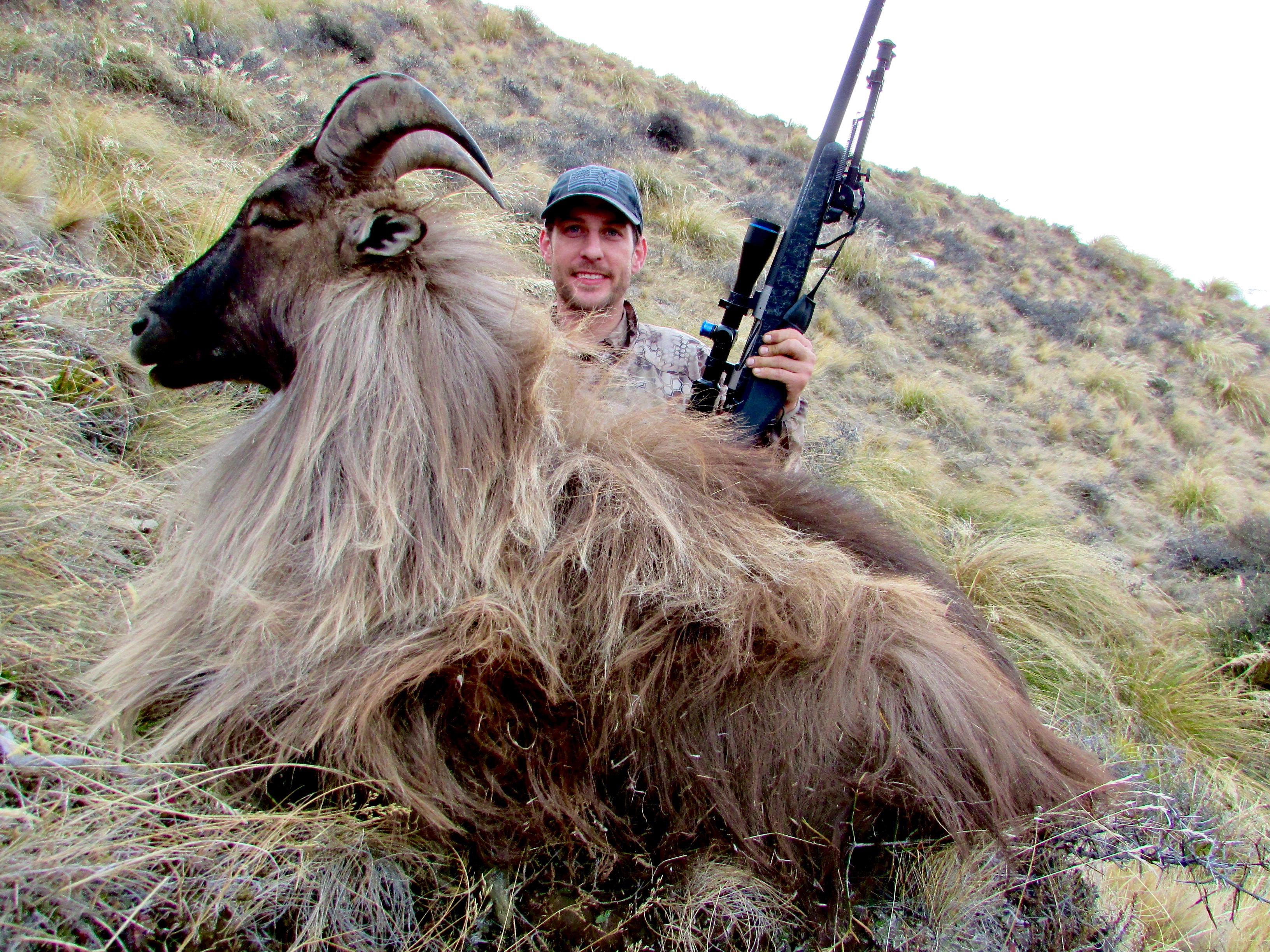 123 inch 7 year old B ull Tahr.jpeg