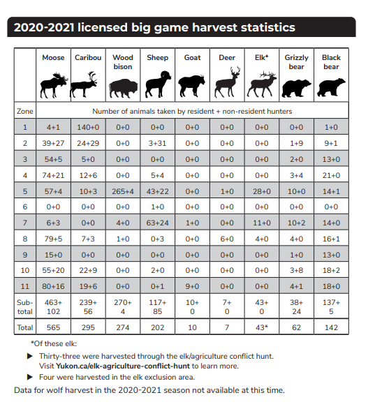 Yukon Moose Hunt Recommendations | AfricaHunting.com