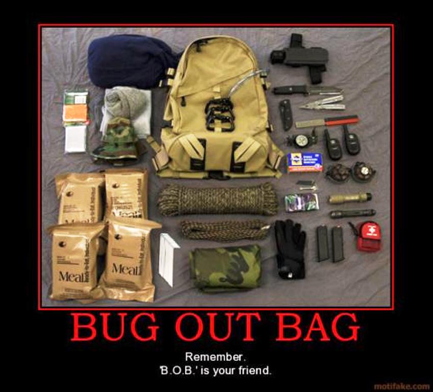 171-1208063008-bug-out-bag-poster.jpg