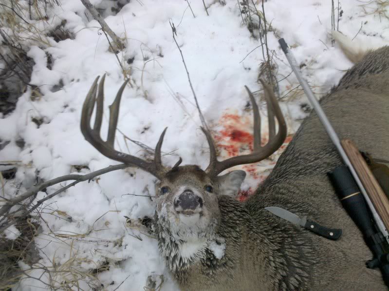 2011buck (1).jpg