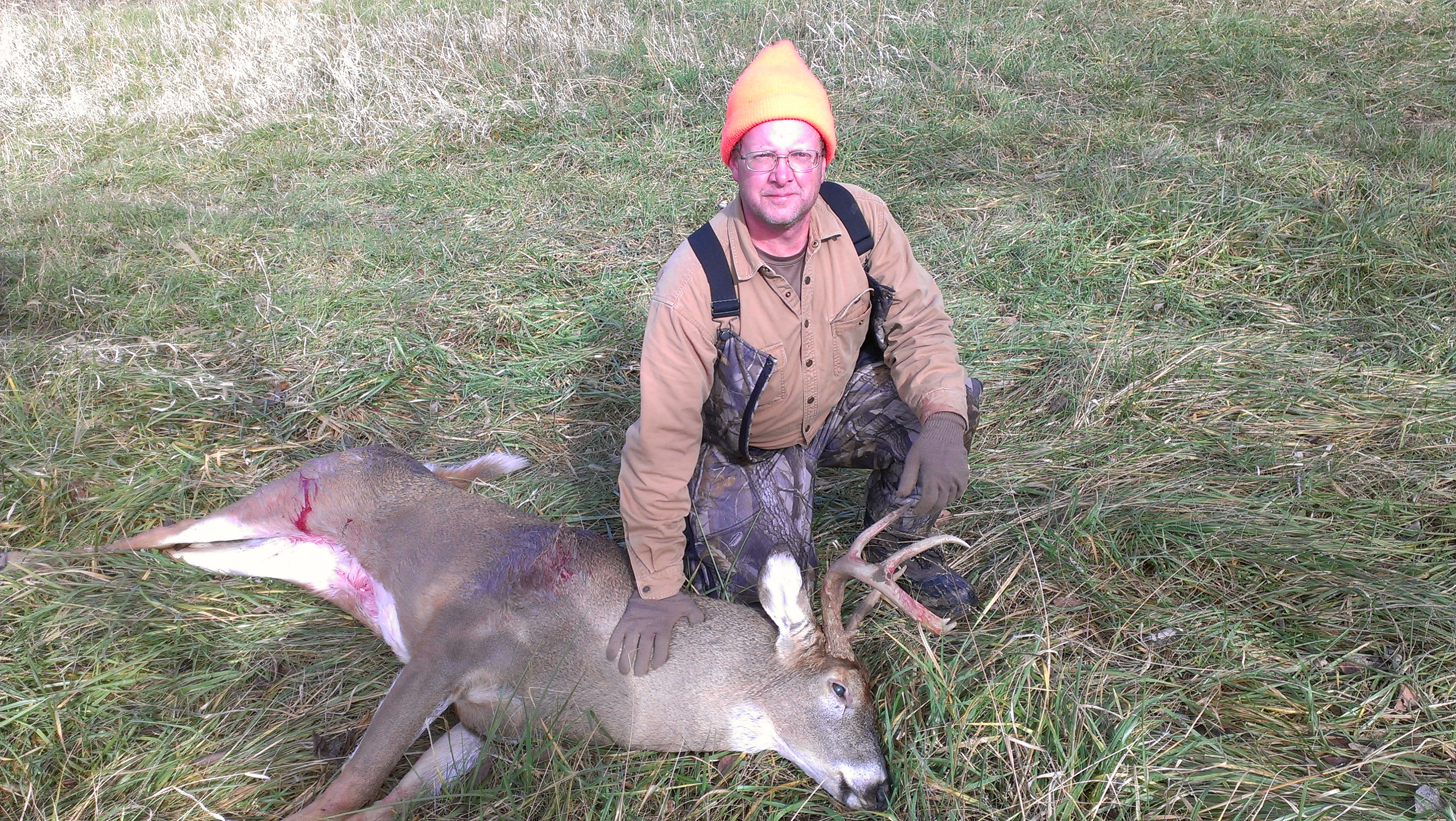 20142 deer.jpg