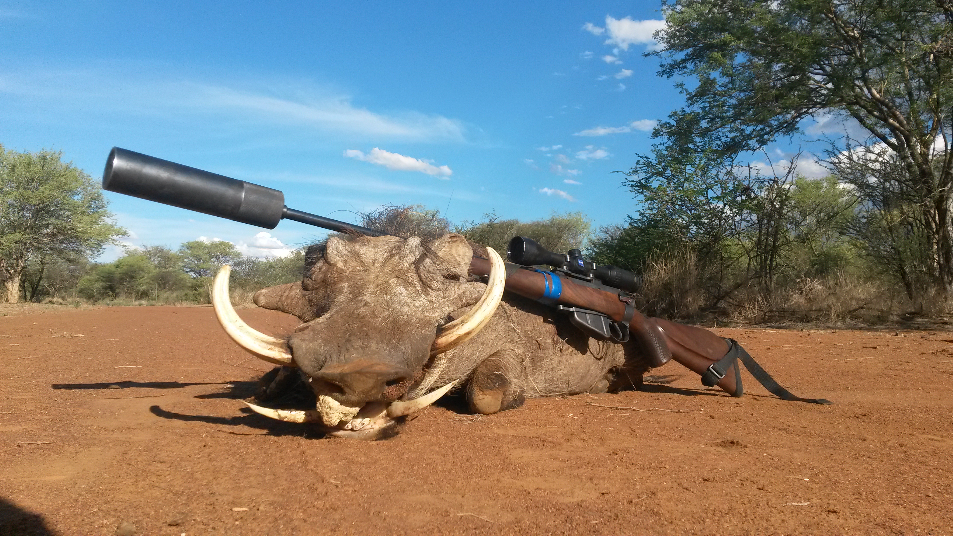 Warthog Hunt Limpopo With Lalamanzi Safaris | AfricaHunting.com