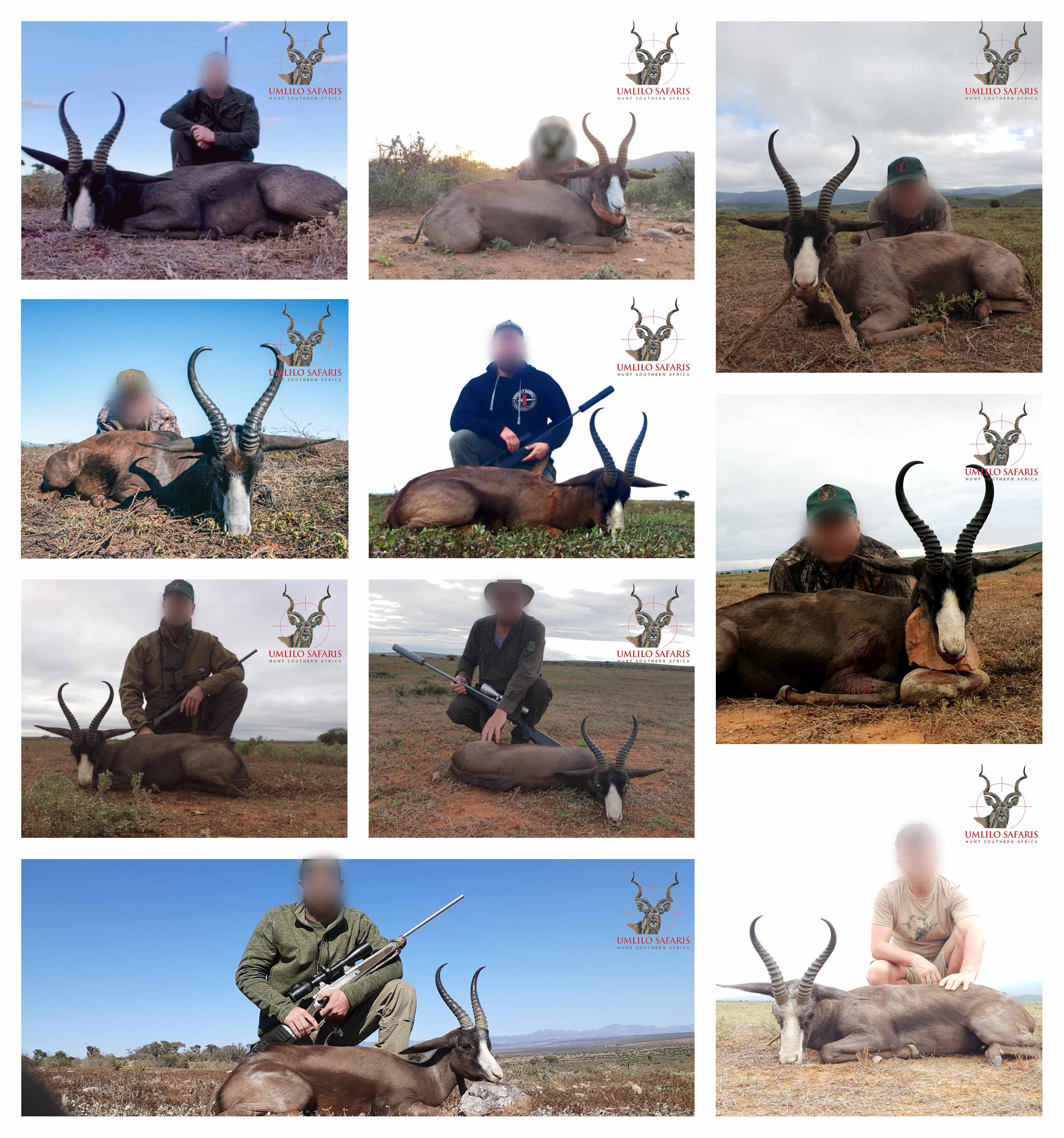 2019 Black Springbok collage.jpg