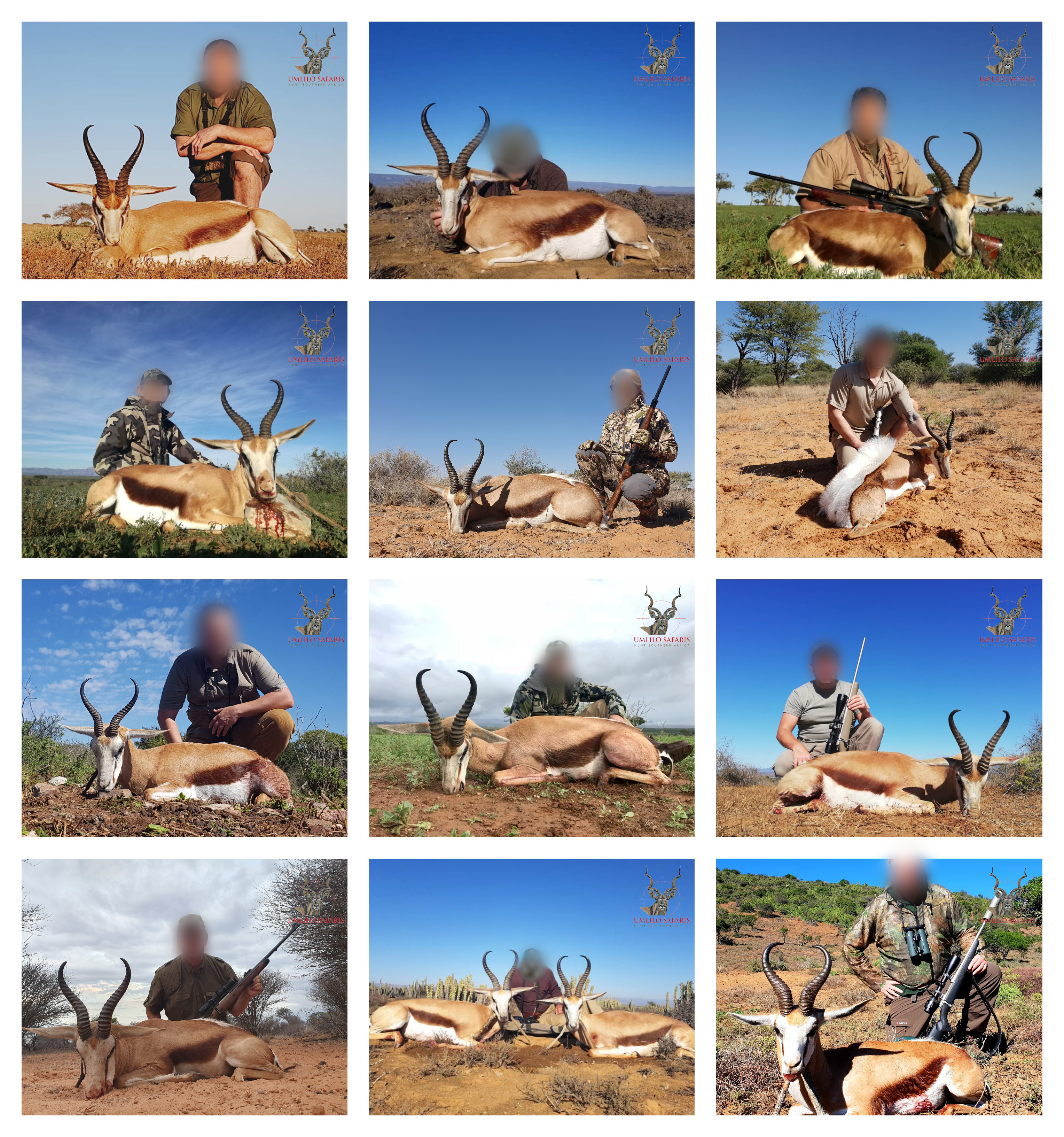 2019 Cape Springbok collageBlur.jpg