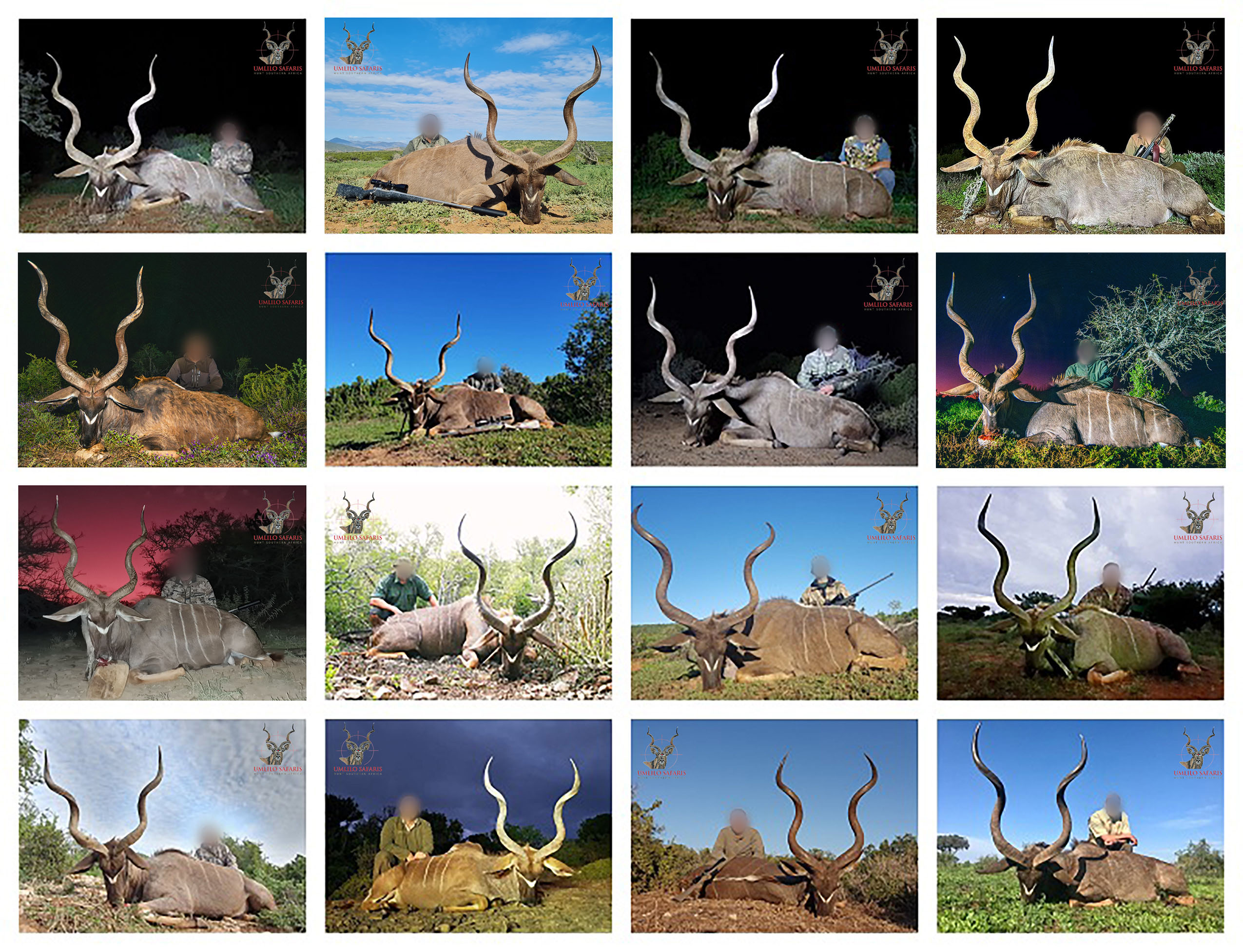 2019 Kudu collageECV2.jpg