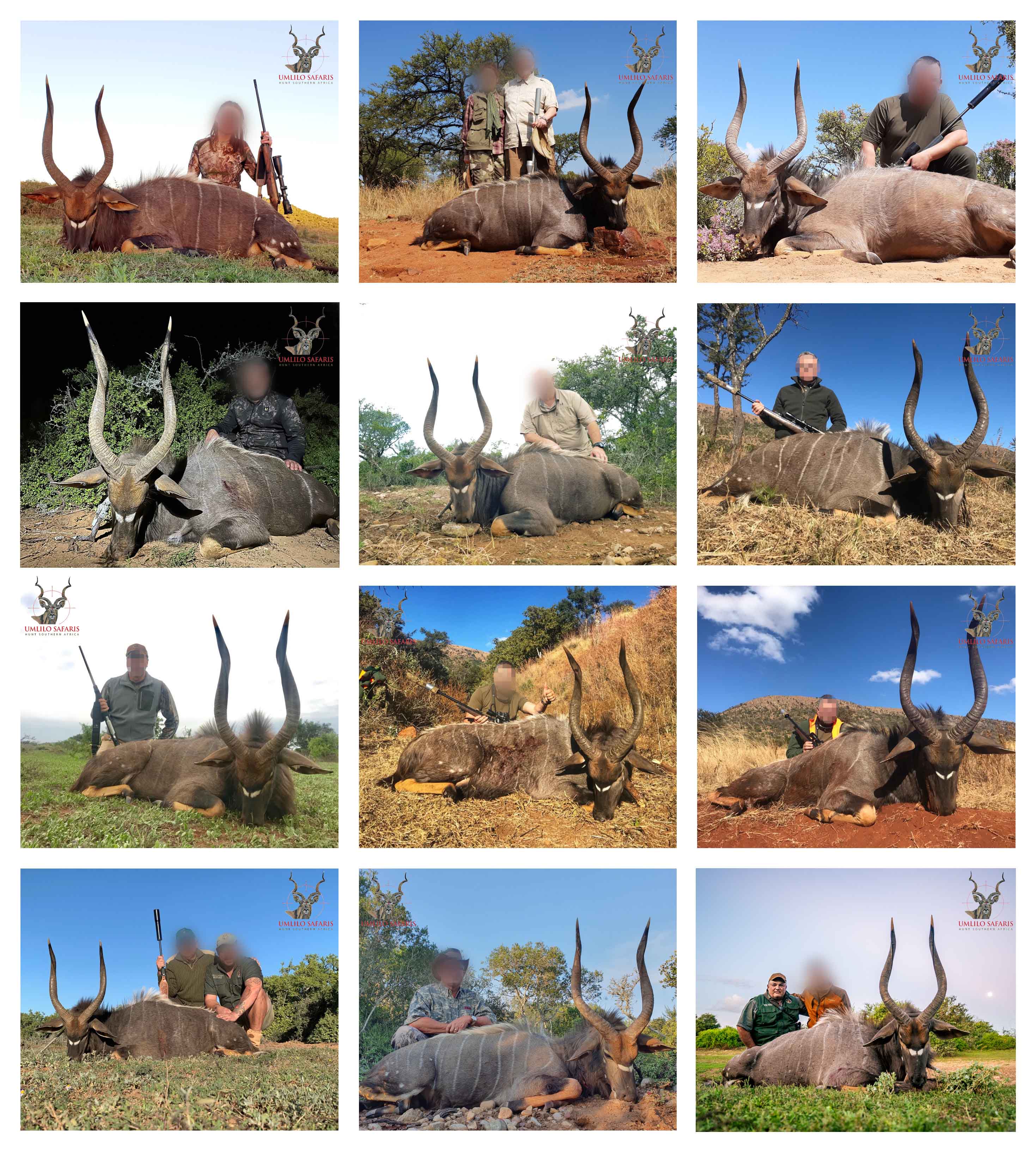 2019 Nyala collage.jpg