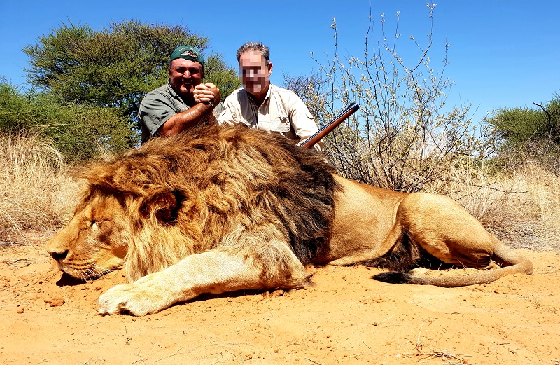 2020 Lion Combo Hunting Packages South Africa - 20 Years As Full Time ...