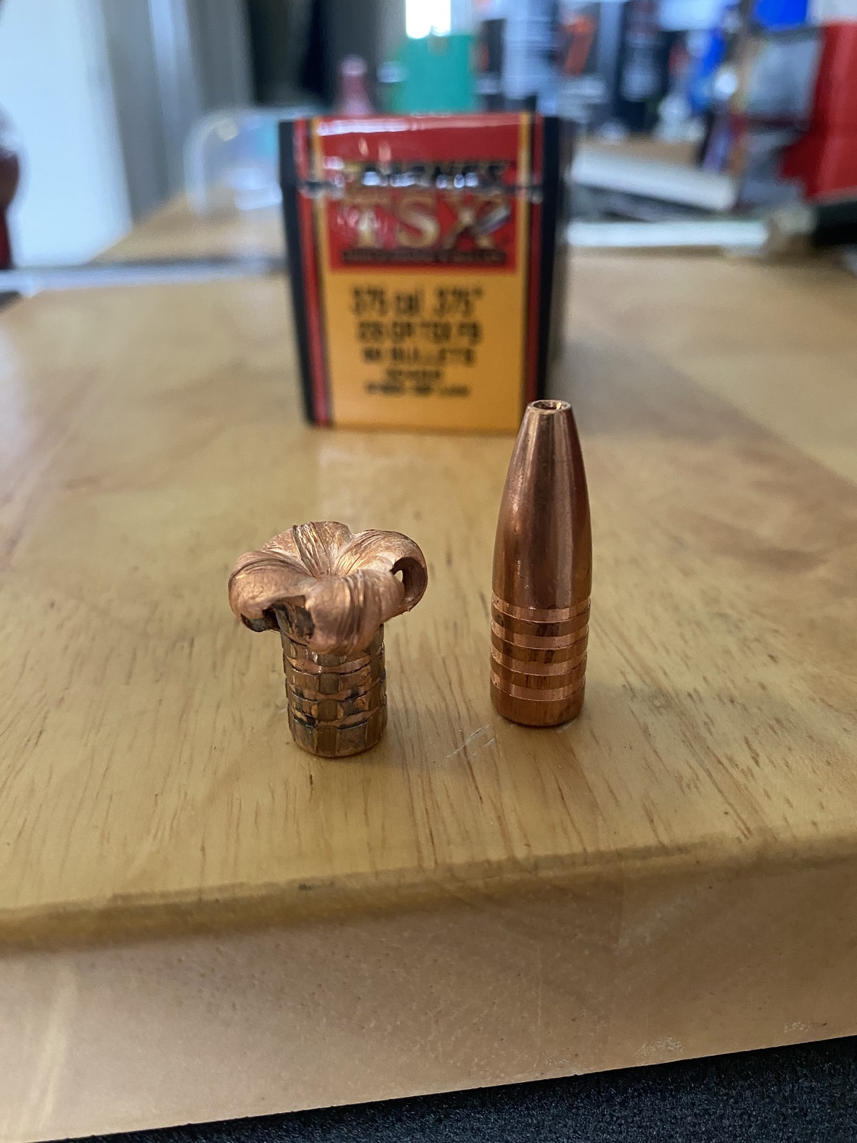 375 Ruger Ammo Test 235grn Barnes VS 235grn Woodleigh | AfricaHunting.com