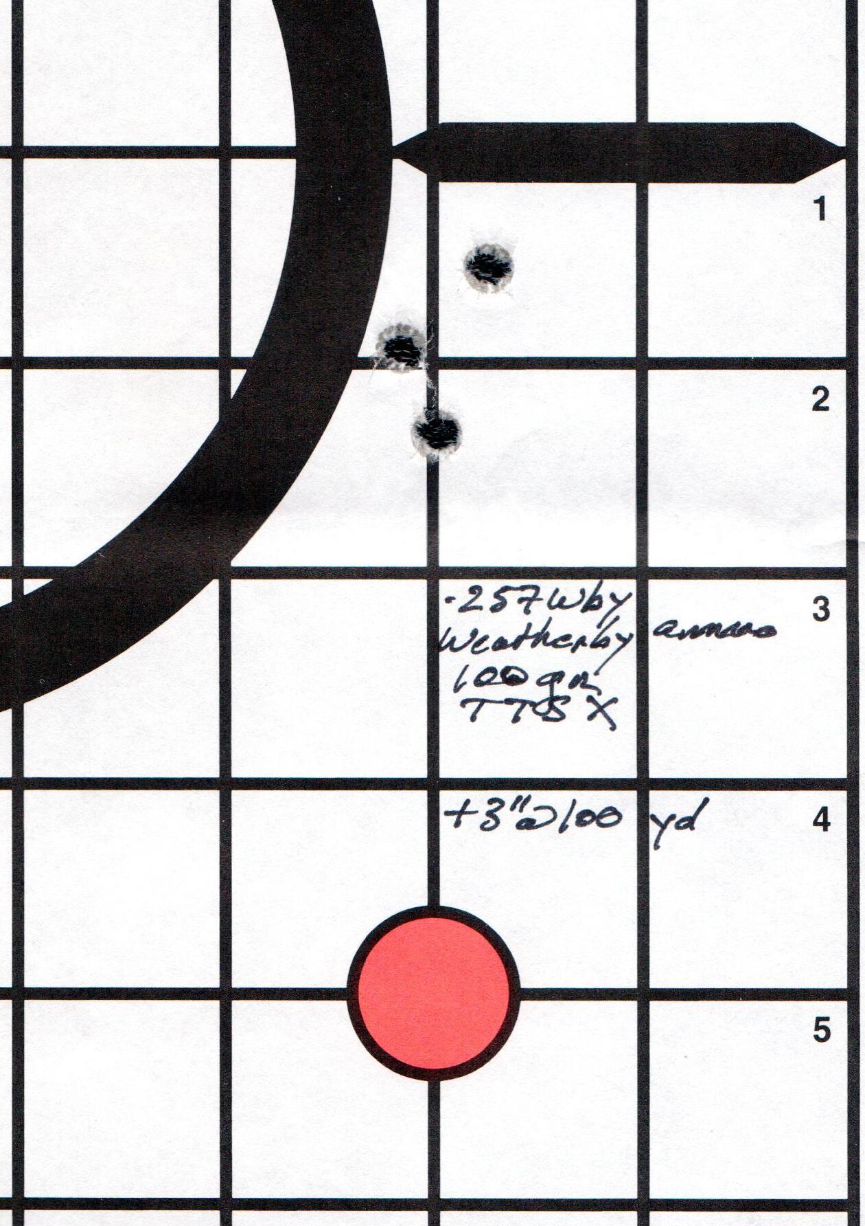 .257 Wby 100 gr Barnes TTSX group.jpg