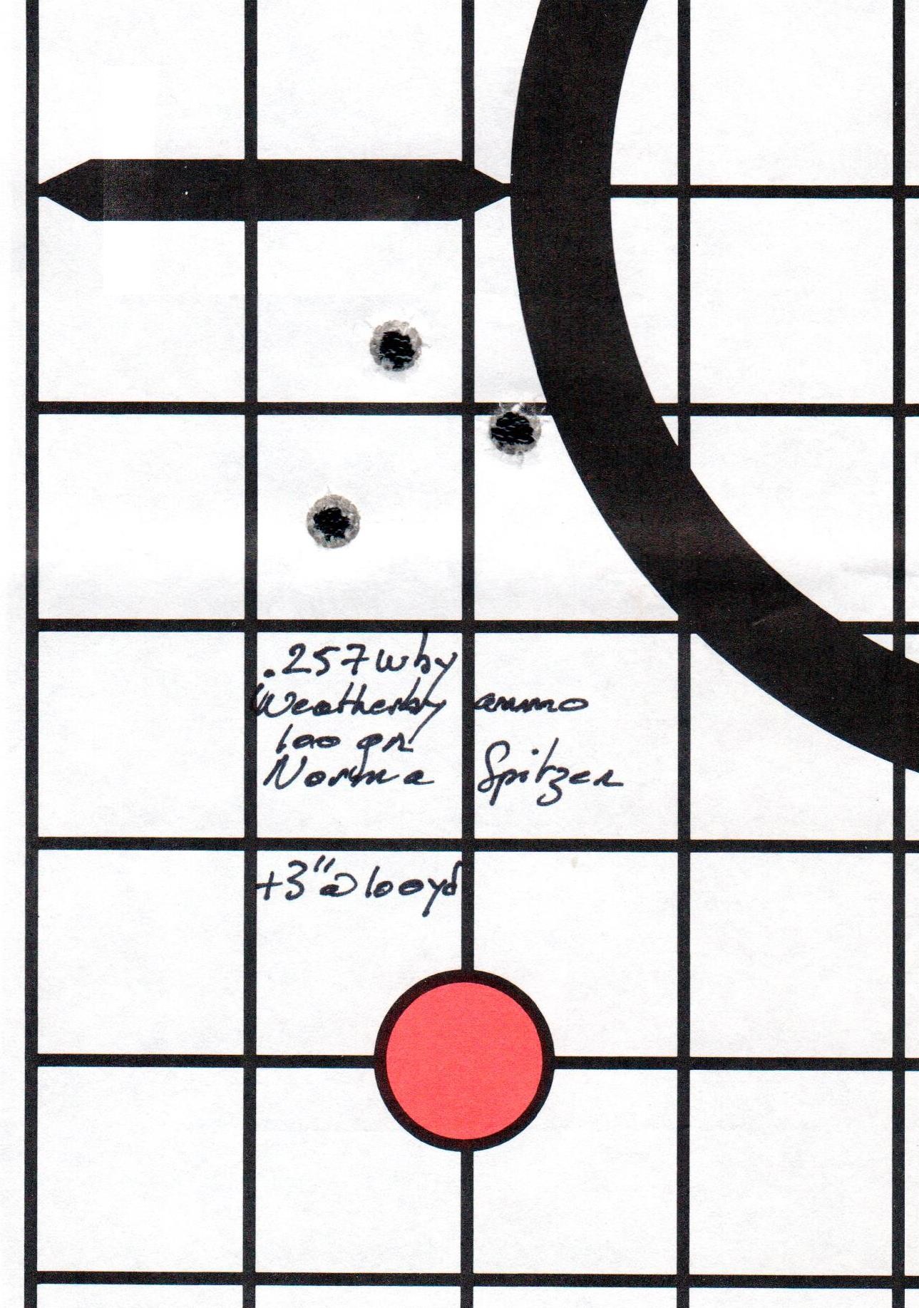 .257 Wby 100 gr Norma Spitzer group.jpg