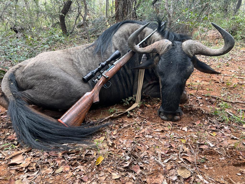 275 wildebeest.JPG